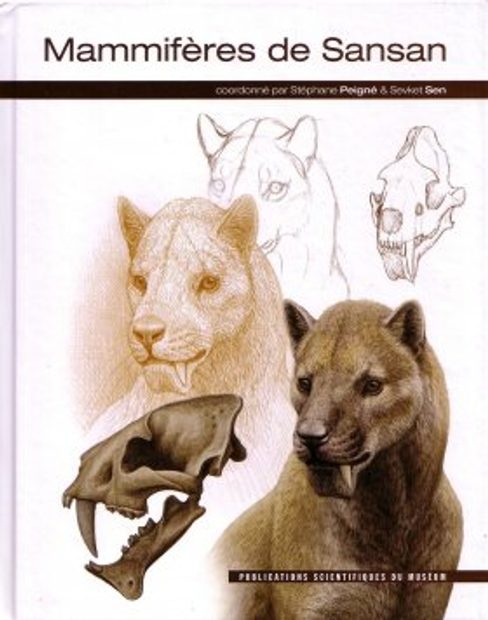 Mammifères de Sansan