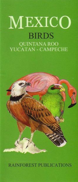 Mexico: Birds – Quintana Roo, Yucatan, Campeche [English / Spanish]