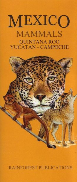 Mexico: Mammals – Quintana Roo, Yucatan, Campeche [English / Spanish]