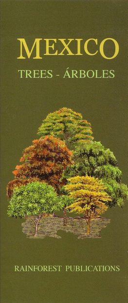 Mexico: Trees / Árboles