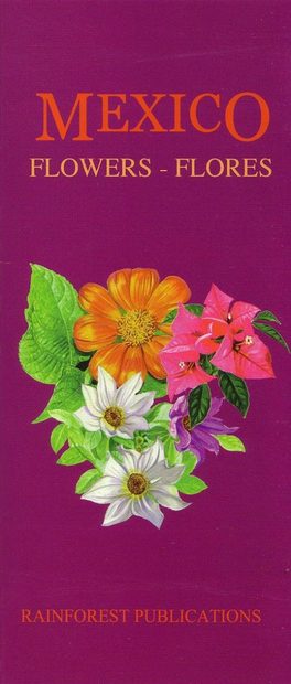 Mexico: Flowers / Flores