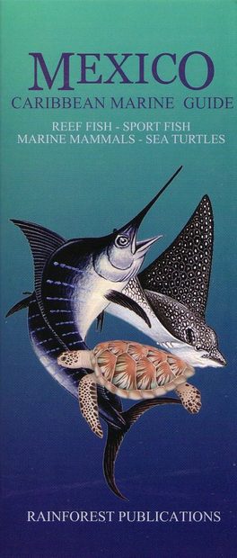 Mexico Caribbean Marine Guide