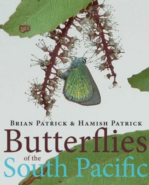 Butterflies of the South Pacific