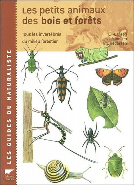 Petits Animaux des Bois et Forêts