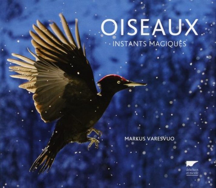 Oiseaux: Instants Magiques