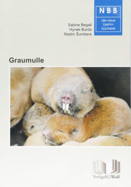 Graumulle - Cryptomys und Fukomys [The Mole Rats]
