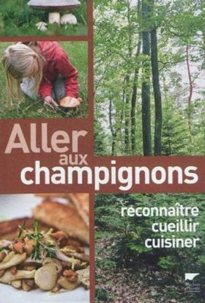 Aller aux Champignons