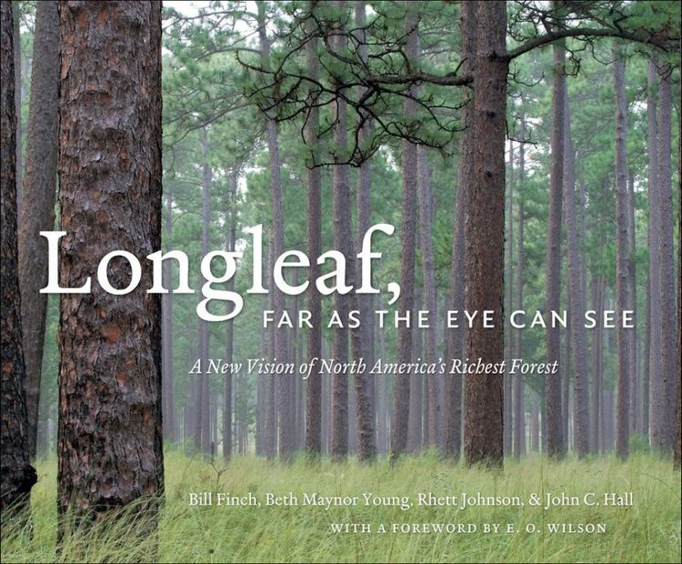 Longleaf, Far as the Eye Can See