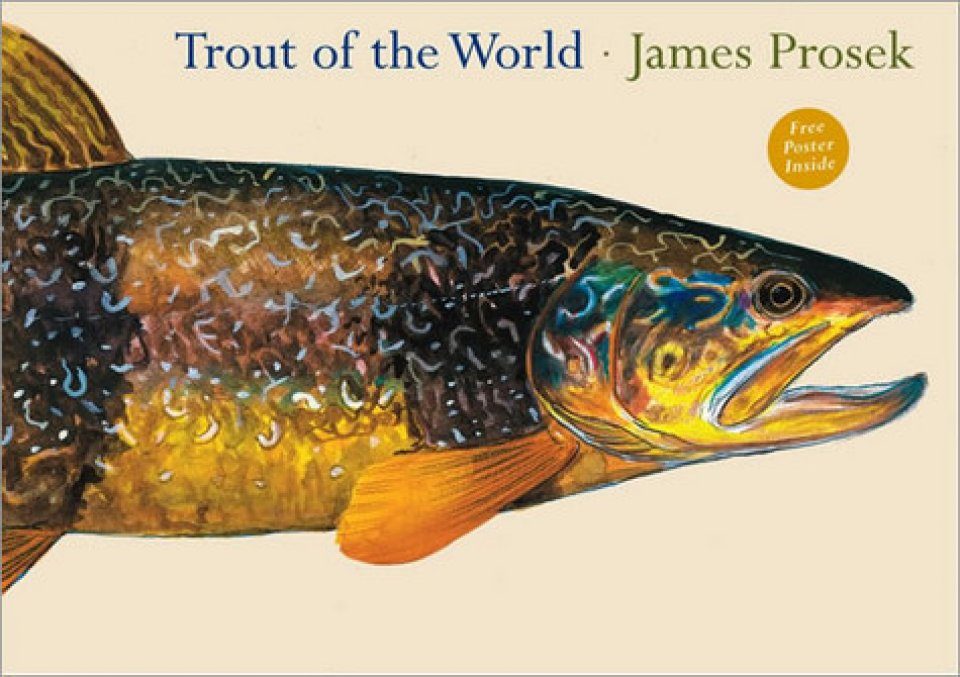 Trout Of The World Nhbs Academic Amp Professional Books