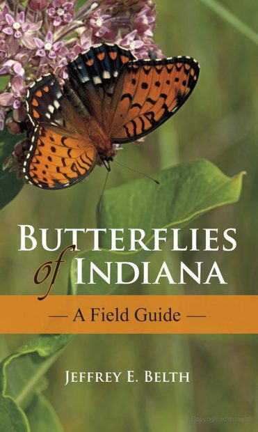 Butterflies of Indiana