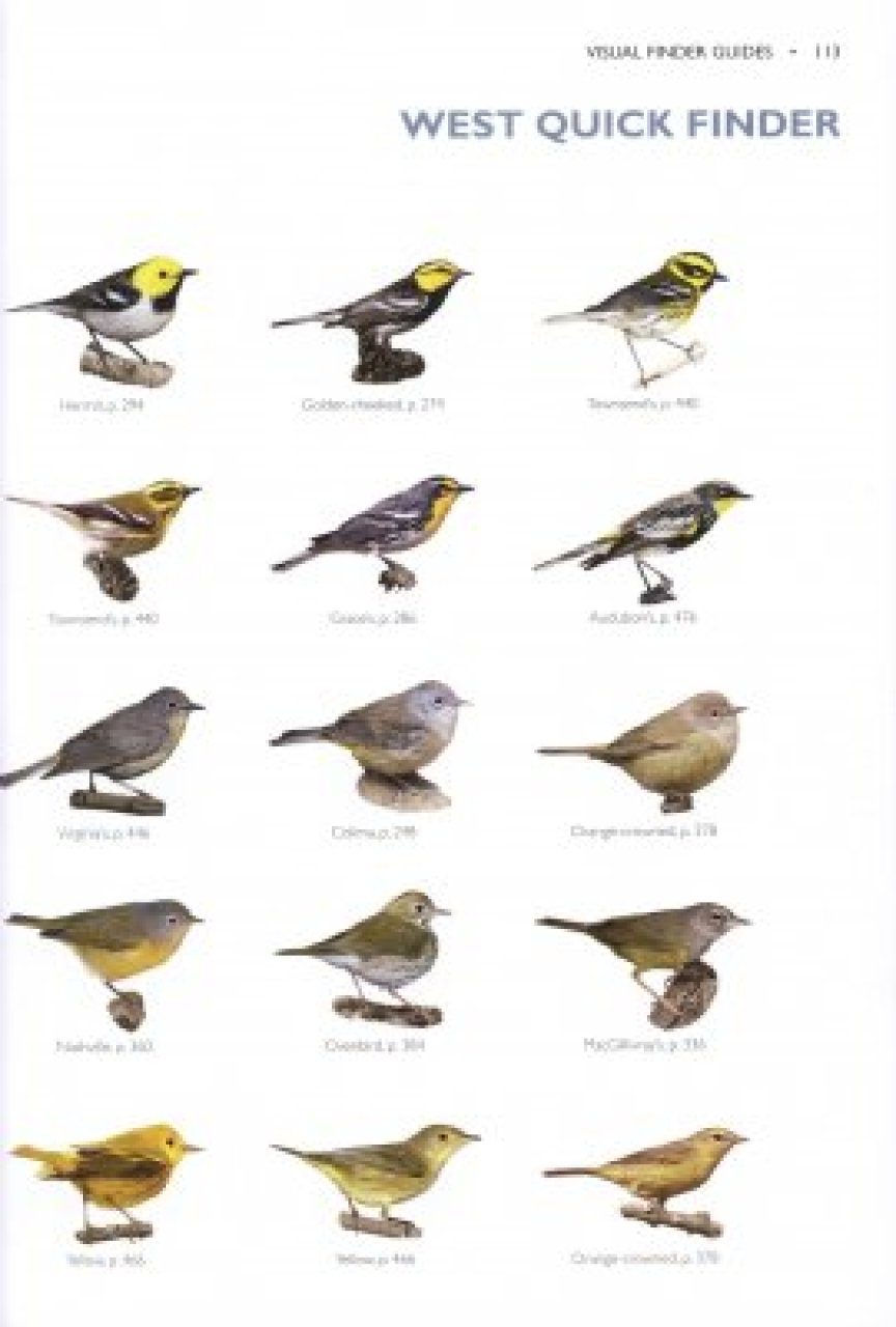 The Warbler Guide NHBS Field Guides Natural History The Warbler Guide NHBS Field Guides Natural History