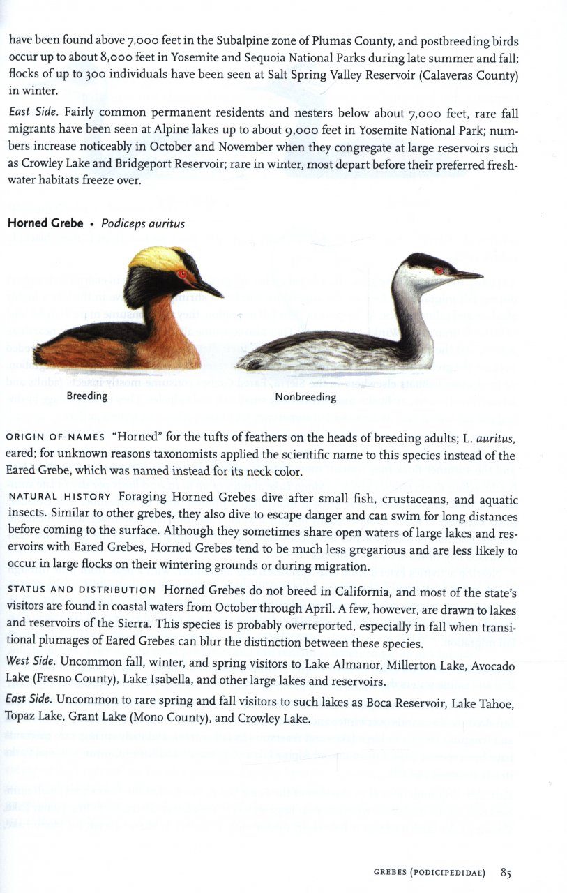 Birds Of The Sierra Nevada Their Natural History Status