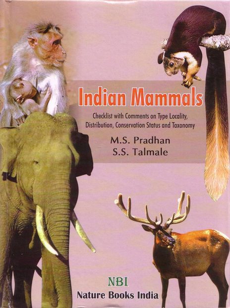 Indian Mammals
