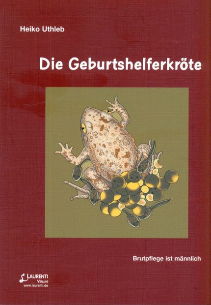 Die Geburtshelferkröte: Brutpflege ist Männlich [The Midwife Toad: Brood Care is Masculine]