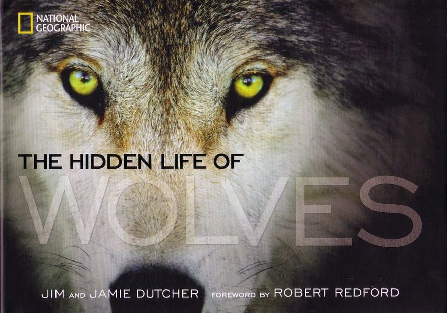 The Hidden Life of Wolves