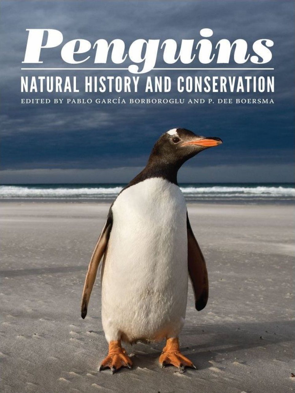 Penguins Natural History And Conservation Nhbs Academic