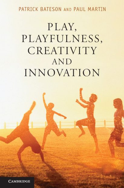 Play, Playfulness, Creativity and Innovation