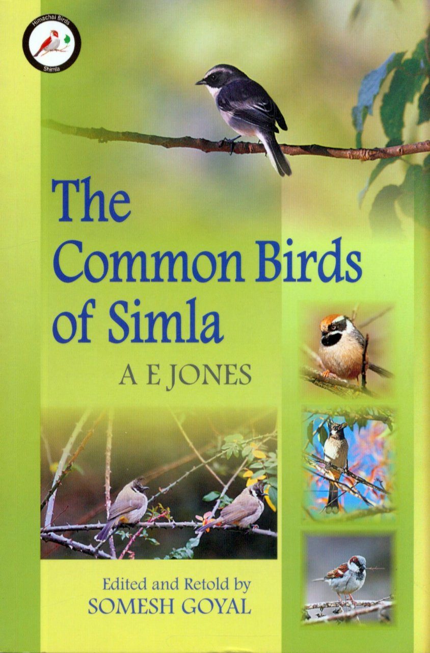 The Common Birds of Simla | NHBS Academic & Professional Books