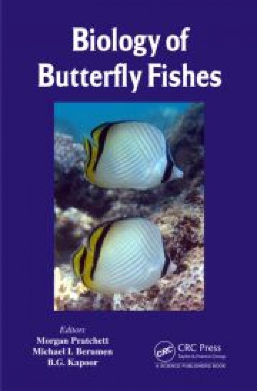 Biology of Butterfly Fishes | NHBS Academic & Professional Books