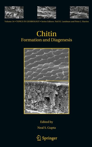 Chitin: Formation and Diagenesis