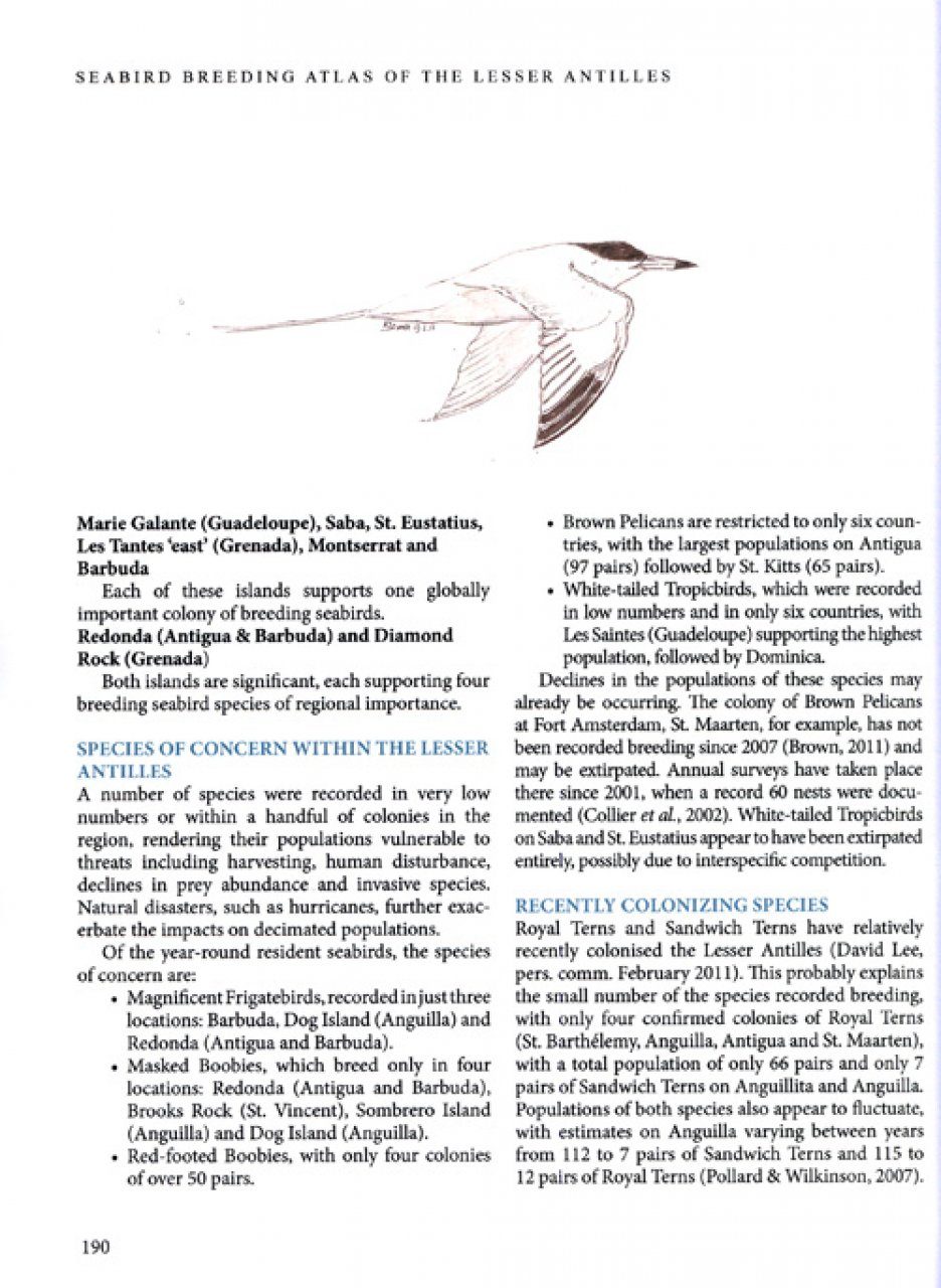 Seabird Breeding Atlas Of The Lesser Antilles