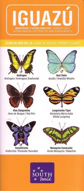 Iguazú: Butterflies and Other Insects: Pocket Guide / Guá de Bolsillo / Guía de Bolso