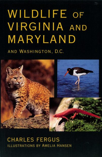 Wildlife of Virginia and Maryland and Washington D.C. | NHBS Field ...