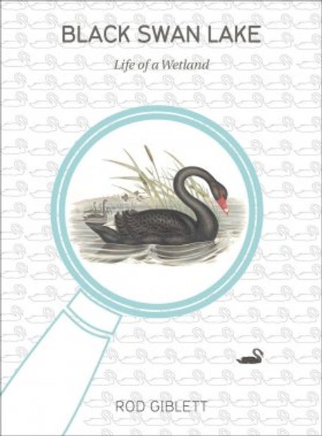 Black Swan Lake