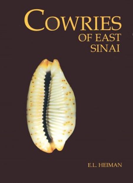 Cowries of East Sinai