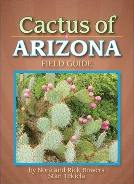 Cacti of Arizona
