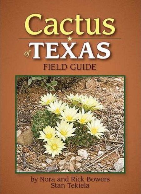 Cactus of Texas