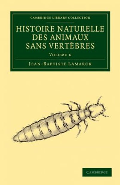 Histoire Naturelle Des Animaux Sans Vertèbres, Volume 6