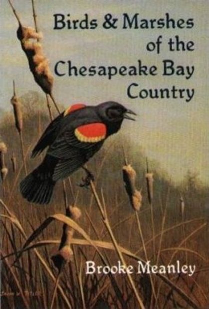 Birds and Marshes of the Chesapeake Bay Country
