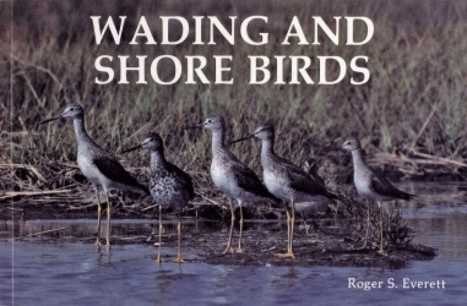 Wading and Shore Birds