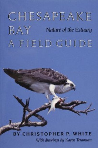 Chesapeake Bay Nature of the Estuary