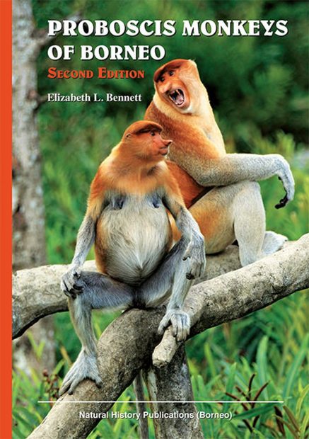 Proboscis Monkeys of Borneo