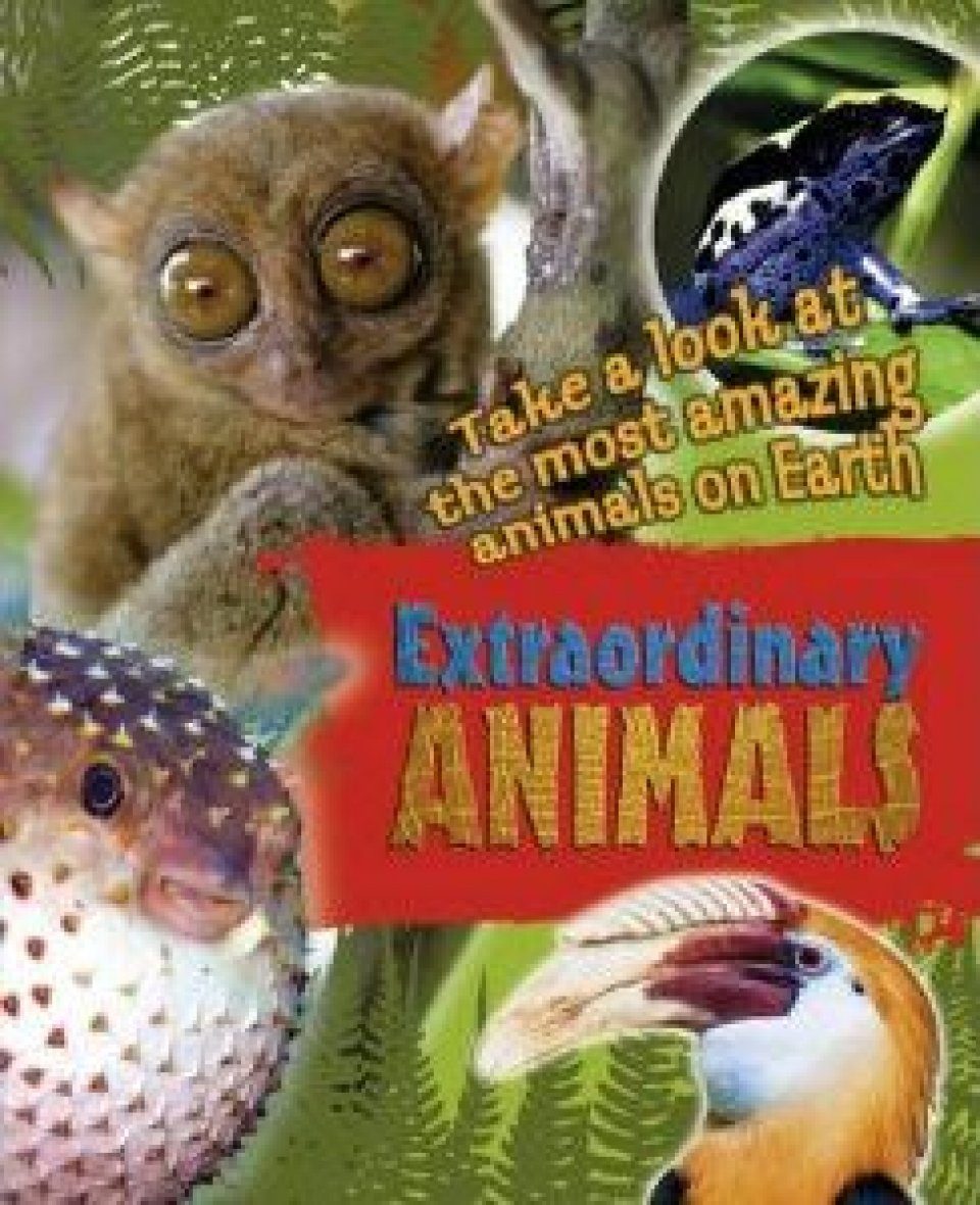 Extraordinary Animals: Take a Look at the Most Amazing Animals on Earth |  NHBS Academic & Professional Books
