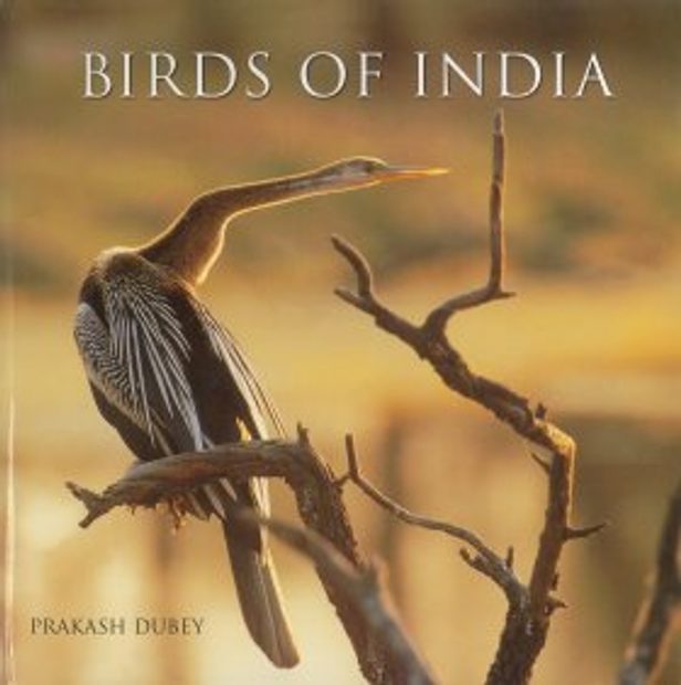 Birds of India