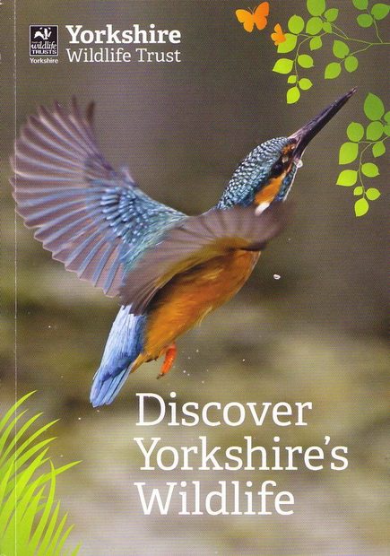 Discover Yorkshire's Wildlife
