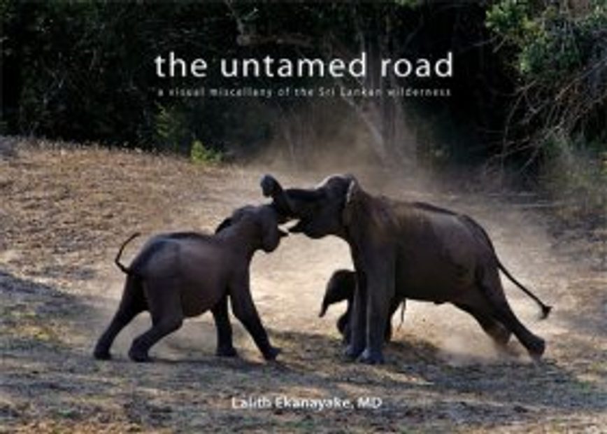 The Untamed Road