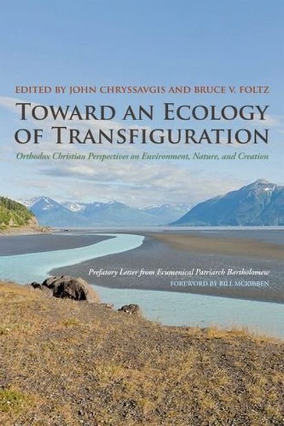 Toward an Ecology of Transfiguration