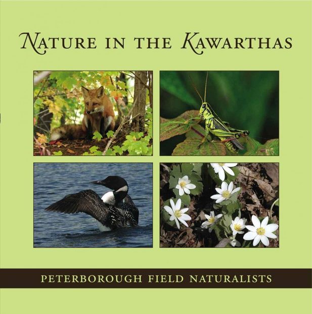 Nature in the Kawarthas