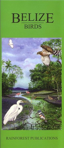 Belize: Birds
