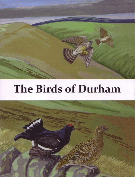 The Birds of Durham