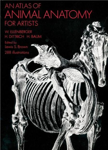 An Atlas of Animal Anatomy for Artists