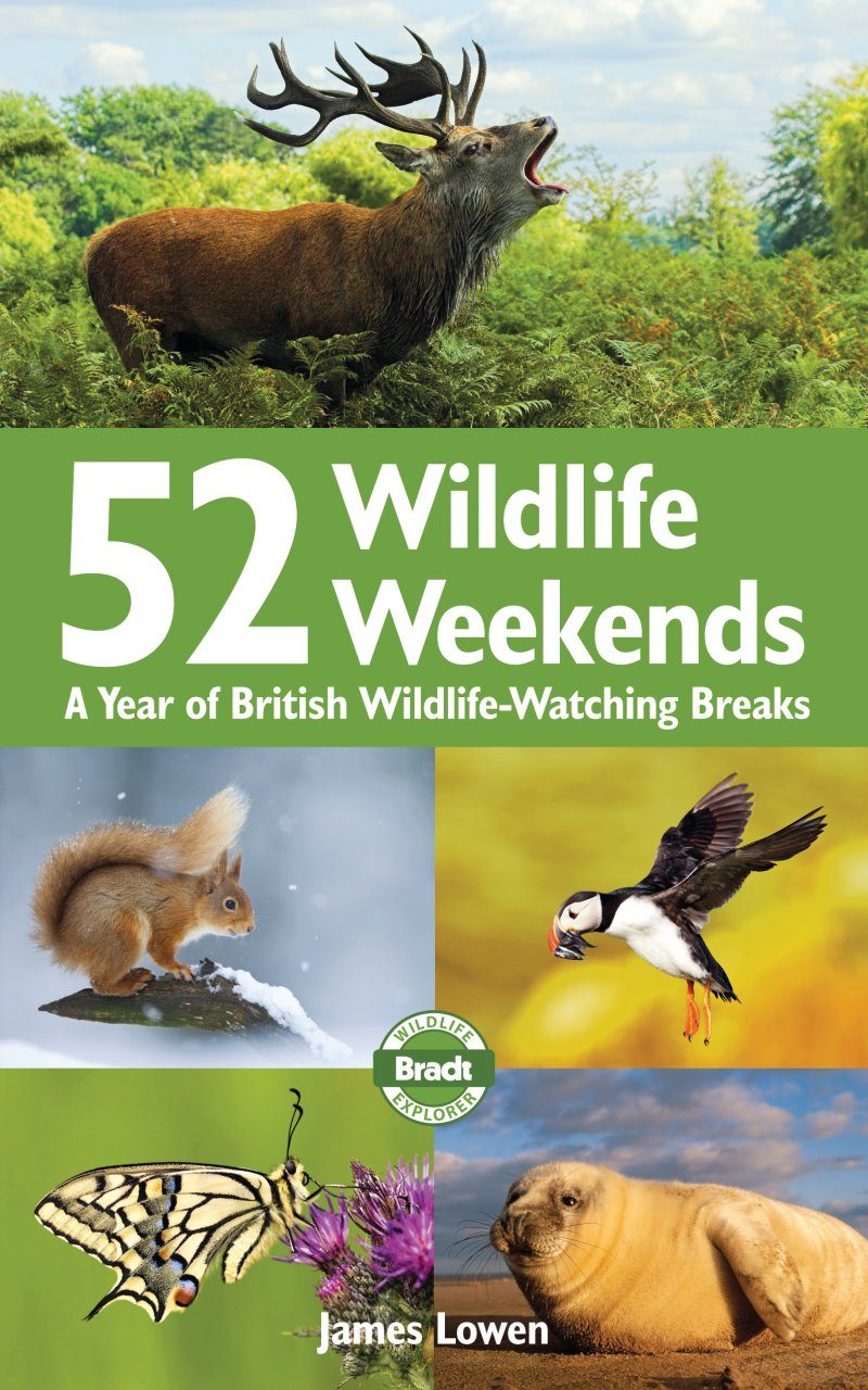 52 Wildlife Weekends A Year Of British Wildlife Watching