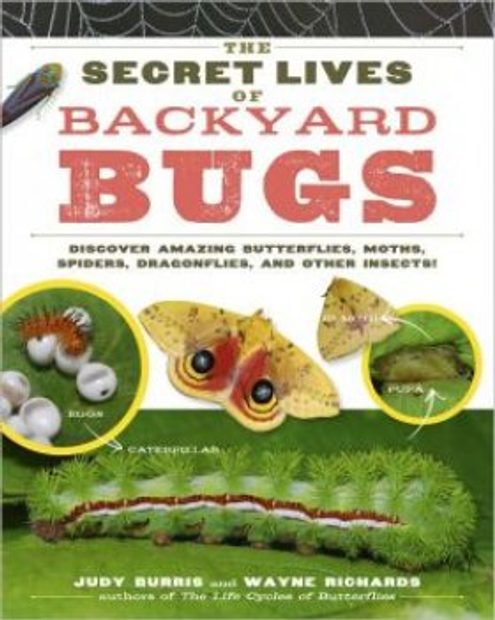 The Secret Lives of Backyard Bugs