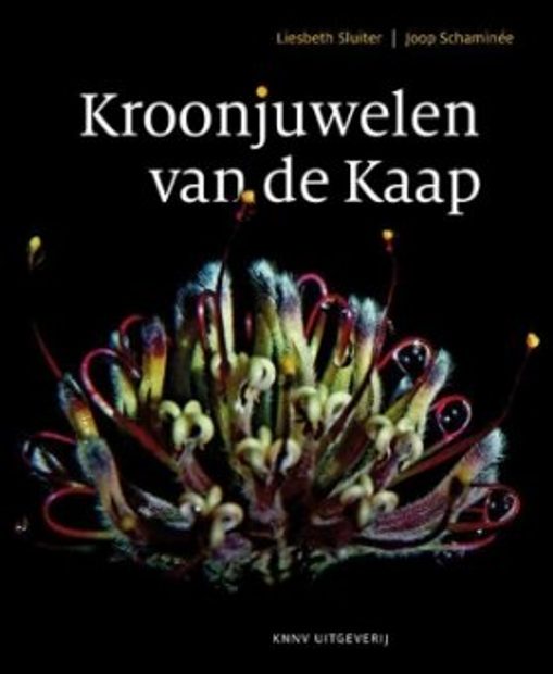 Kroonjuwelen van de Kaap
