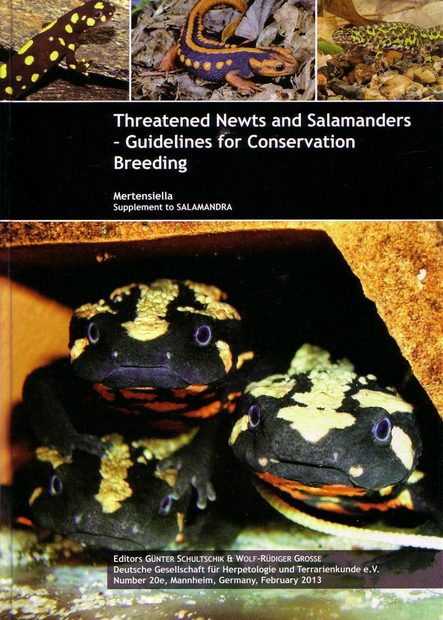 Threatened Newts and Salamanders, Volume 1