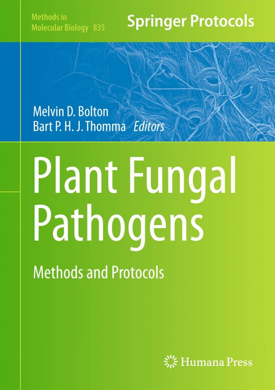 and　Pathogens:　NHBS　Plant　Protocols　Books　Fungal　Professional　Methods　Academic